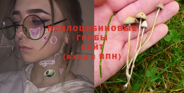 СК Алзамай