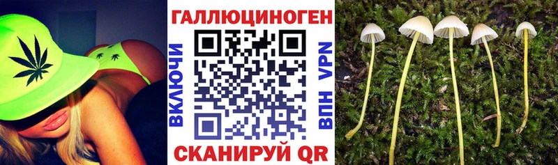 mega ТОР  Пугачёв  Галлюциногенные грибы GOLDEN TEACHER 