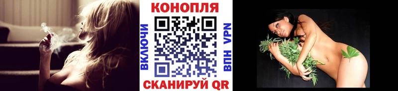 Шишки марихуана планчик  Пугачёв 